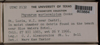Image Associated With the Occurrence